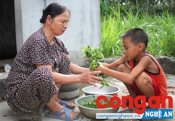 Em Nguyễn Đăng Hùng Sống với bà nội có hoàn cảnh hết sức khó khăn.