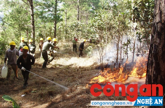 Các lực lượng chức năng triển khai các phương án chữa cháy rừng.