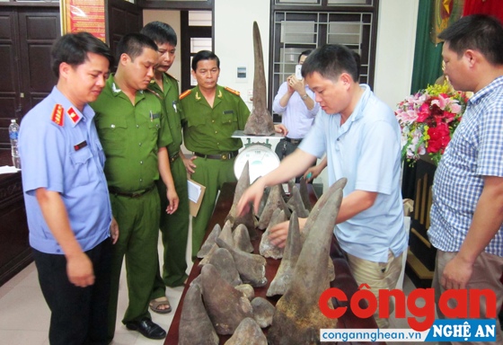 Phòng CSKT phá chuyên án mua bán, vận chuyền hàng chục kg sừng tê giác từ nước ngoài vào Việt Nam