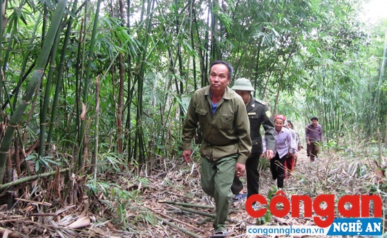 Lực lượng Kiểm lâm cùng quần chúng nhân dân tuần tra bảo vệ rừng - Ảnh: Kế Kiên