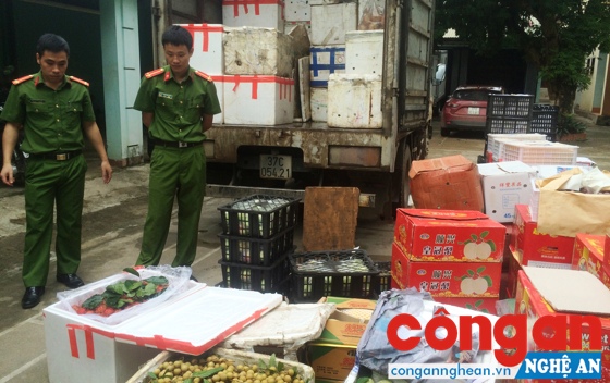  Công an TX Thái Hòa bắt giữ xe tải vận chuyển hơn 2 tấn hoa quả không rõ nguồn gốc