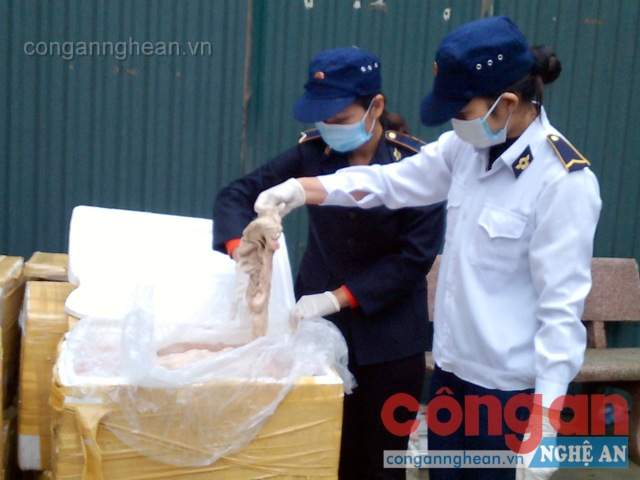 Lực lượng chức năng bàn giao cho Trạm thú y Diễn Châu số nội tang động vật bắt giữ vào ngày 8/11.