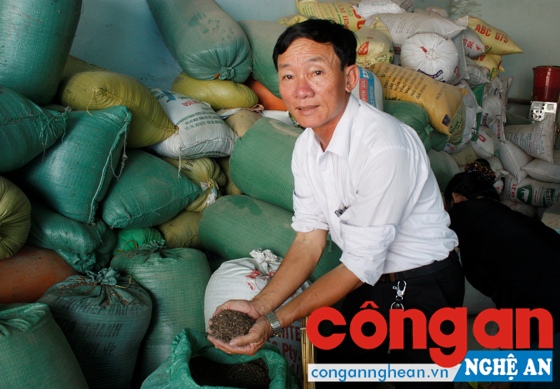 Doanh nhân Phan Văn Hoà thành công với việc lai tạo, sản xuất giống lúa tím thảo dược