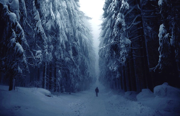 Trang Boredpanda vừa liệt kê những bức ảnh được đánh giá là đẹp nhất về mùa đông trên khắp thế giới.