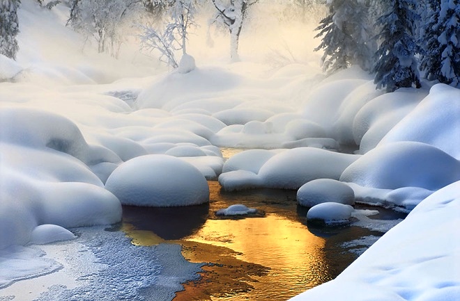 Bức ảnh này được nhiếp ảnh gia Dmitry Dubikovskiy chụp tại Siberia tại thời điểm -35 độ C.