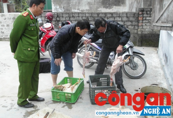 Công an huyện Nghi Lộc thu giữ tang vật vụ việc