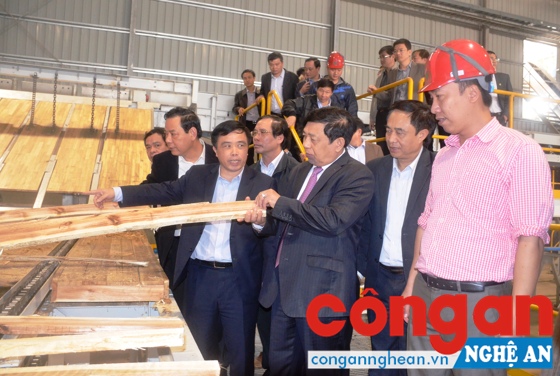 Các đồng chí lãnh đạo tỉnh kiểm tra sản phẩm ván ghép thanh đã được sản xuất ở Nhà máy chế biến gỗ và ván sợi công nghệ MDF tại huyện Nghĩa Đàn