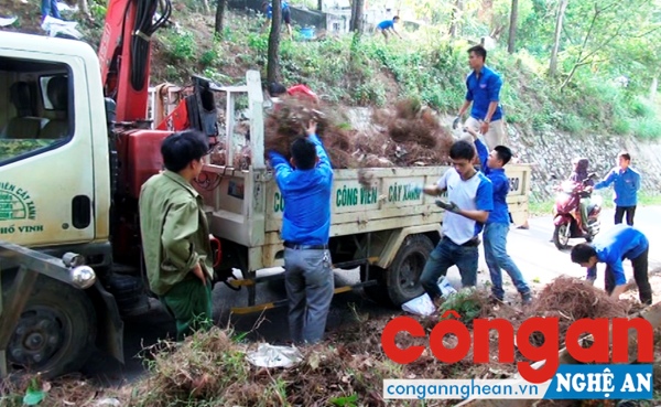 Đoàn thanh niên phối hợp với công nhân Công ty Cổ phần Công viên cây xanh thành phố thu dọn thực bì PCCCR trên núi Quyết