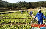 Gỡ khó trong công tác cai nghiện ở Kỳ Sơn