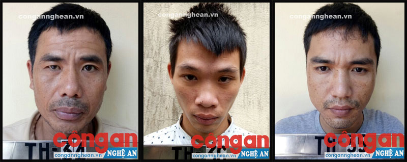 Các đối tượng Ngô Minh Tiến, Nguyễn Xuân Vịnh và Bùi Thanh Quyền bị bắt tạm giam về hành vi mua bán, tàng trữ trái phép chất ma túy