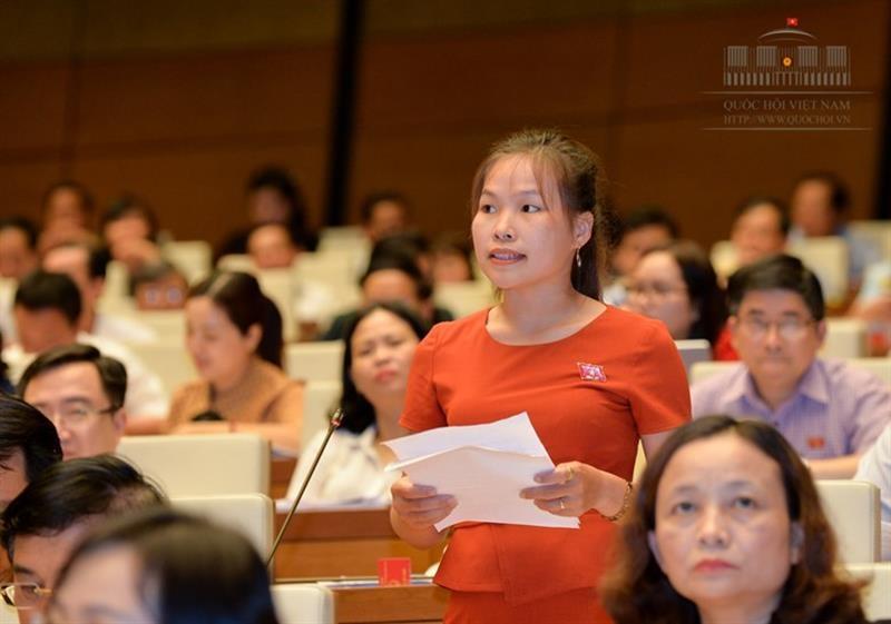 Đại biểu Quốc hội Cao Thị Giang đề nghị bỏ tiêu chí tổng nguồn vốn khi xác định doanh nghiệp nhỏ và vừa