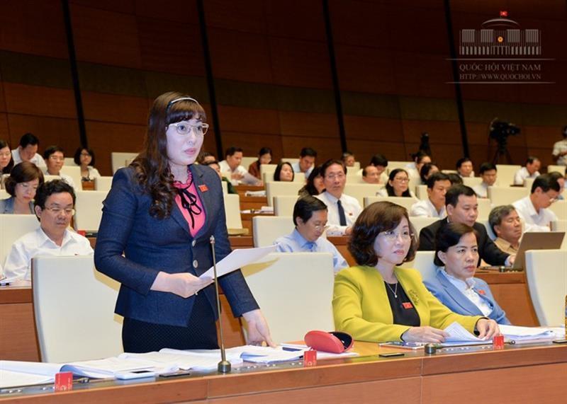 ĐBQH Võ Thị Như Hoa đề nghị Dự thảo Luật quy định tiêu chí riêng phân theo lĩnh vực kinh tế