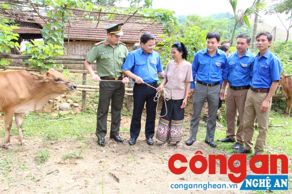 Trao tặng 2 con bò sinh sản cho thanh niên khó khăn phát triển kinh tế tại xã Châu Thành.
