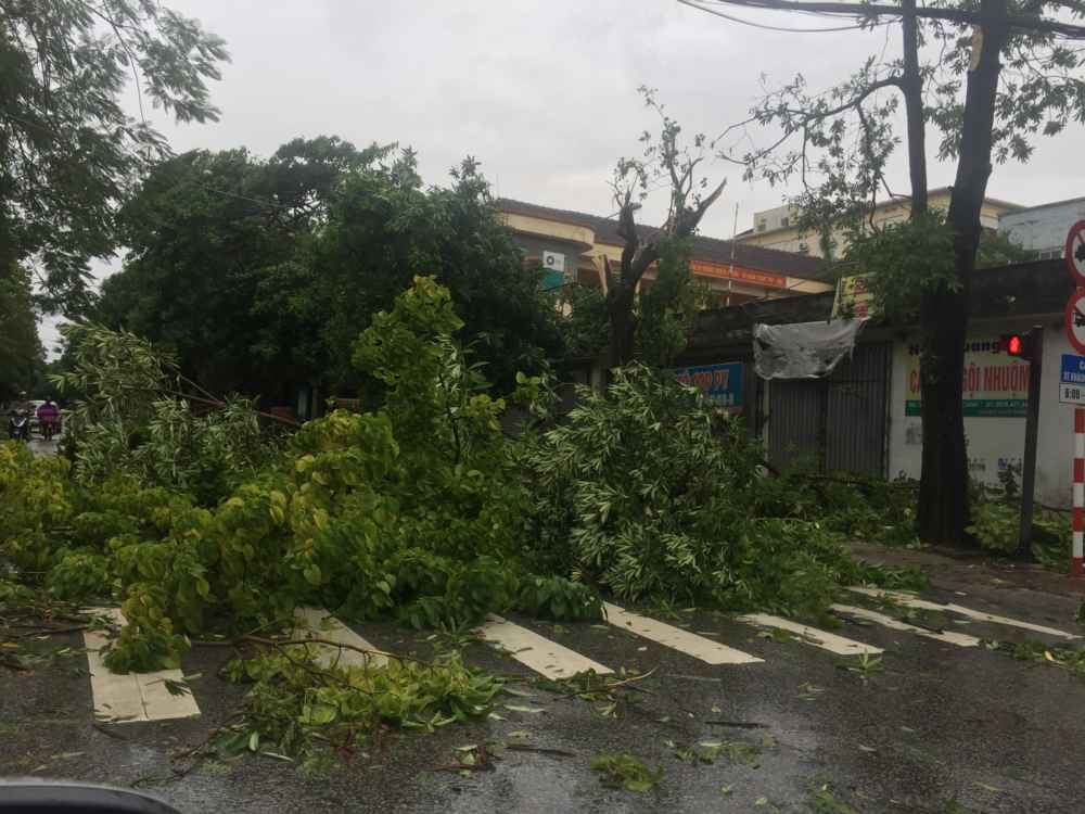 Cành cây đổ gãy chắn ngang đường Nguyễn Đức Cảnh