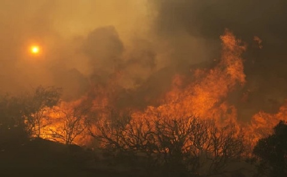 Ngọn lửa đã thiêu rụi 70.000 hec-ta rừng ở California, Mỹ. Ảnh: Reuters.