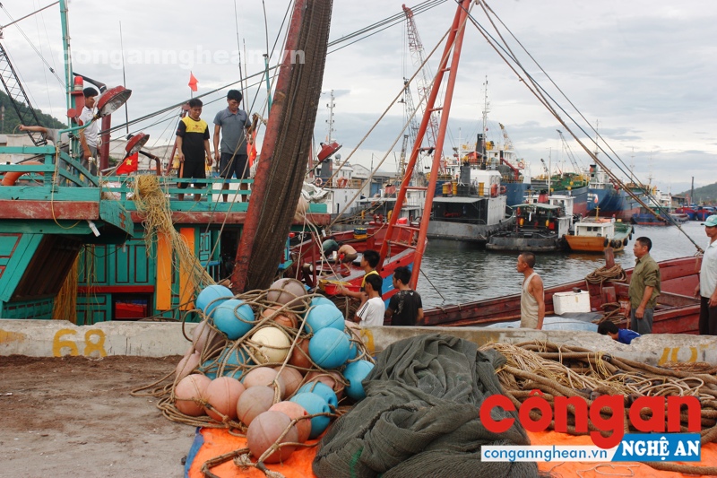 Ngư dân sẽ được hưởng chính sách giảm tổn thất sau thu hoạch đối với hàng thủy sản