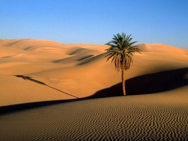 99% diện tích Libya là là quốc gia sa mạc thậm chí một số vùng ở Libya chưa từng mưa trong suốt nhiều thập niên qua. Đây là quốc gia khô cằn nhất thế giới.