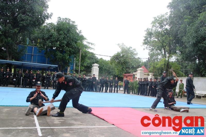 Nữ cảnh sát đặc nhiệm luyện tập võ thuật sẵn sàng chiến đấu