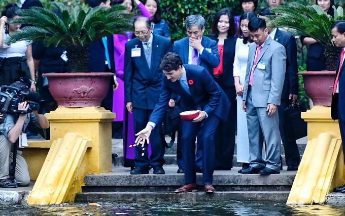 Sau khi tham quan Nhà sàn, ông Trudeau đến thăm ao cá trong khu di tích và thả thức ăn cho cá.(ảnh: VNE)
