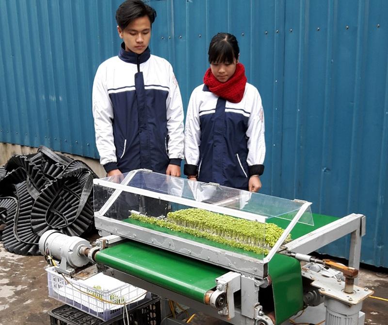 Máy cắt rau mầm tự động do Phạm Quang Hợp và Mai Thúy Hiền chế tạo.