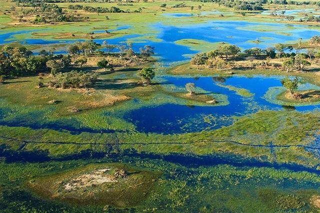 Đồng bằng Okavango ở Botswana, trông như địa đàng. Nơi đây có nhiều loài báo, ngựa vằn, trâu và tê giác đi lại tự do.