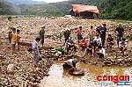 Dẹp nạn '<em>vàng</em> <em>tặc</em>' trên đỉnh Pu Phen