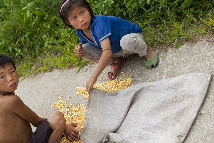 Hai em bé này đang thu lại hạt ngô trên đường ở gần Begaebong, Samjiyon, Triều Tiên.