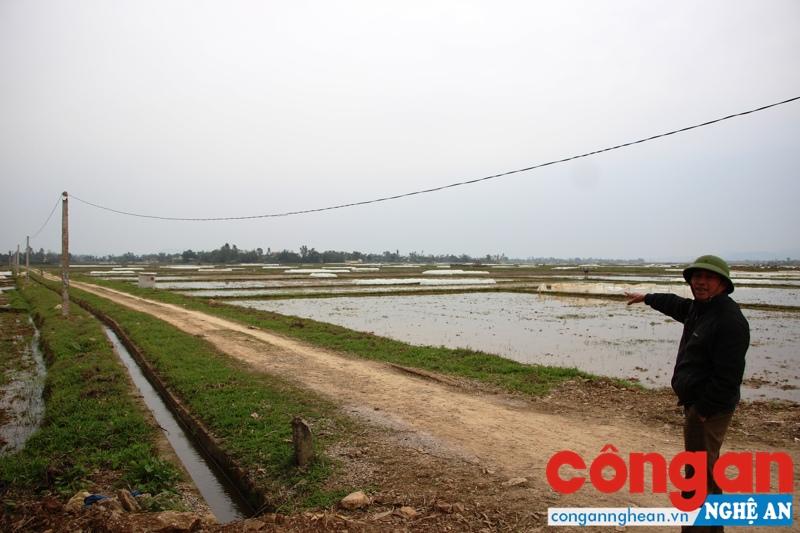 Ông Nguyễn Thọ Tuy, Chủ tịch UBND xã Nhân Thành không đồng ý với việc chủ đầu tư lắp đặt cùng một loại cống điều tiết nước ở những cánh đồng khác nhau