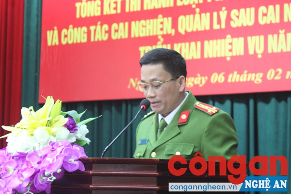 Đồng chí Đại tá Nguyễn Mạnh Hùng - Phó Giám đốc Công an tỉnh phát biểu