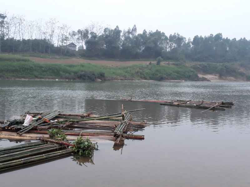 Bè gỗ vô chủ trên sông Hiếu