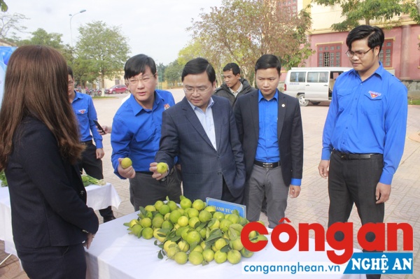 Đại biểu TW Đoàn, TW Hội Nông dân Việt Nam và tỉnh Nghệ An tham quan gian trưng bày, giới thiệu sản phẩm sạch của thanh niên tại huyện Nghĩa Đàn