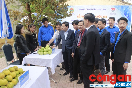 Lãnh đạo Trung ương Đoàn tham quan gian trưng bày sản phẩm nông nghiệp sạch, an toàn của thanh niên huyện Nghĩa Đàn