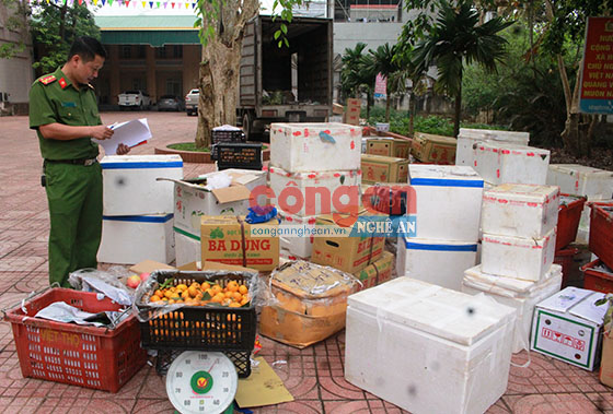 Hơn 2 tấn hoa quả các loại không rõ nguồn gốc xuất xứ bị Công an huyện Quỳ Hợp bắt giữ