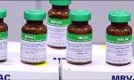 Từ tháng 4/2018, tiêm vaccine sởi – rubella do VN sản xuất