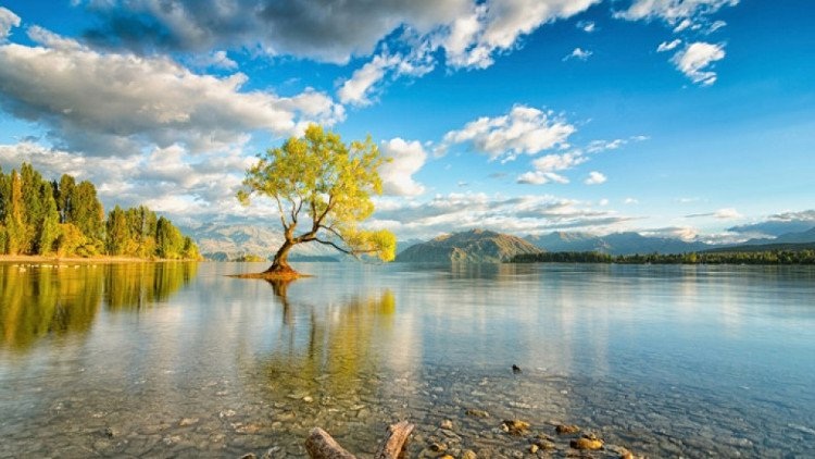 Hồ Wanaka, New Zealand: Nước trong như pha lê, có hàng trăm hoạt động cho khách du lịch, và những người dân địa phương lịch sự đáng kinh ngạc khiến Lake Wanaka trở thành một trong những điểm đến phổ biến nhất ở New Zealand. (Nguồn: Brain Berries)