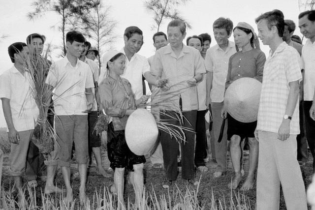Tổng Bí thư Nguyễn Văn Linh thăm cánh đồng lúa của Hợp tác xã Hải Vân (Hải Hậu, tỉnh Hà Nam Ninh) năm 1988. Ảnh TTXVN
