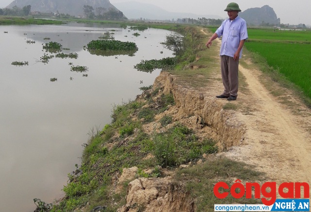 Ông Ngô Xuân Tiềm, Xóm trưởng xóm 2 chỉ tay về phía những mảng đất lớn đang bị sạt lở xuống sông Bùng
