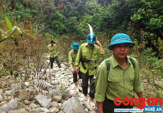 Cán bộ Kiểm lâm Khu Bảo tồn thiên nhiên Pù Hoạt, huyện Quế Phong tuần tra bảo vệ rừng 