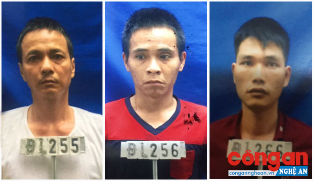Các đối tượng bị Công an huyện Đô Lương bắt giữ liên quan đến hành vi tàng trữ, mua bán trái phép chất ma túy