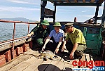 Hà Tĩnh: Thả rùa quý nặng gần 40 kg về biển