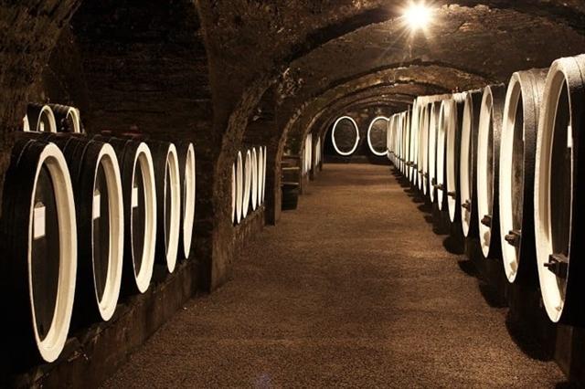 Các hầm rượu vang ở Kutjevo – kinh đô rượu vang của Croatia.