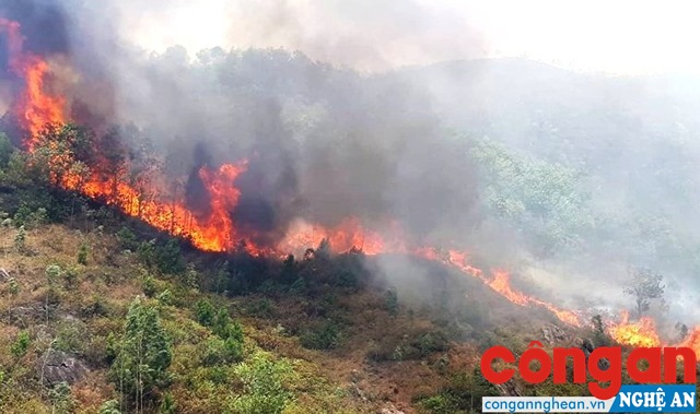 Một vụ cháy rừng xảy ra tại huyện Nam Đàn (tháng 6/2018)