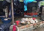 Phát hiện cơ sở giết mổ gia cầm dùng <em>hàn</em> <em>the</em> để ngâm tẩy trắng vịt