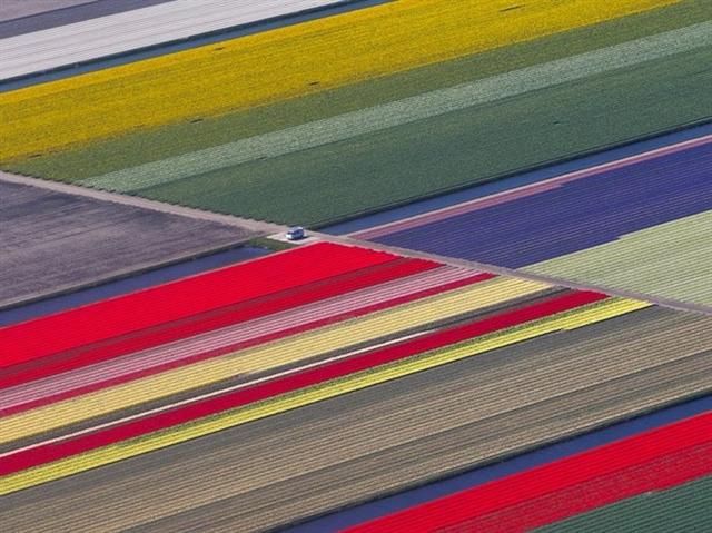 Công viên Keukenhof nằm ở Lisse, Hà Lan được coi là vườn hoa lớn nhất thế giới với những thảm hoa rực rỡ sắc màu.