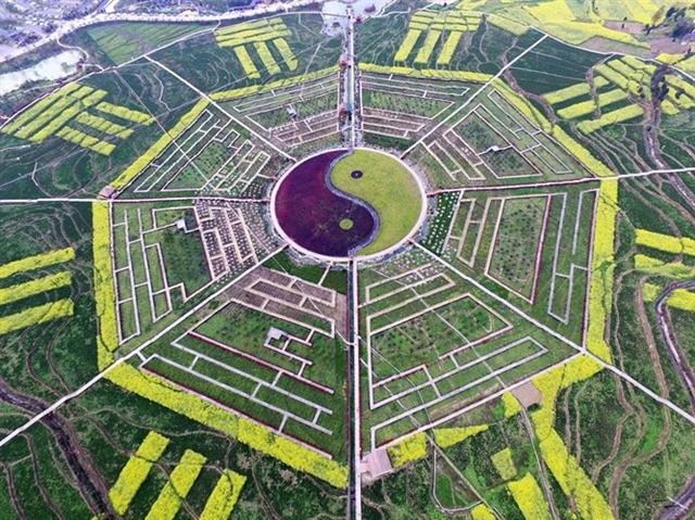Những cánh đồng được sắp xếp thành hình bát quái ở vùng Zunyi, tỉnh Quý Châu, Trung Quốc.