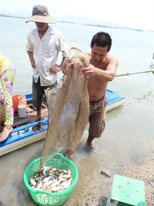 Người dân tận dụng thời cơ đánh bắt cá.