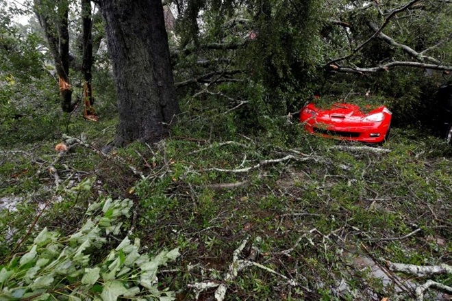 Một chiếc xe thể thao bị lá, cành cây che phủ tại Wilmington. Thành phố này nằm ở khu vực gần tâm bão. Mưa lớn và gió mạnh khiến nhiều cây bị đổ, nhà cửa và hệ thống lưới điện cũng bị hư hại. Nhiều đường phố tại đây cũng bị ngập hoặc cản trở do cây đổ.