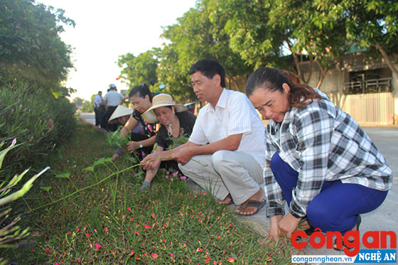 Bí thư Đảng ủy xã Hưng Tân Hoàng Văn Lai cùng hội viên phụ nữ chăm sóc cánh đồng hoa, làm đẹp thêm bức tranh nông thôn mới nơi 