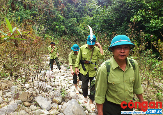 Cán bộ Kiểm lâm Khu Bảo tồn thiên nhiên Pù Hoạt, huyện Quế Phong tuần tra bảo vệ rừng