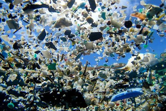 Theo ước tính, đến năm 2025, cứ 3 tấn cá ngoài đại dương sẽ có 1 tấn rác nhựa